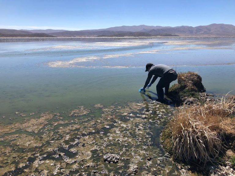 Sampling water in Uru-Uru Lake in Bolivia. Mining and urban contamination.